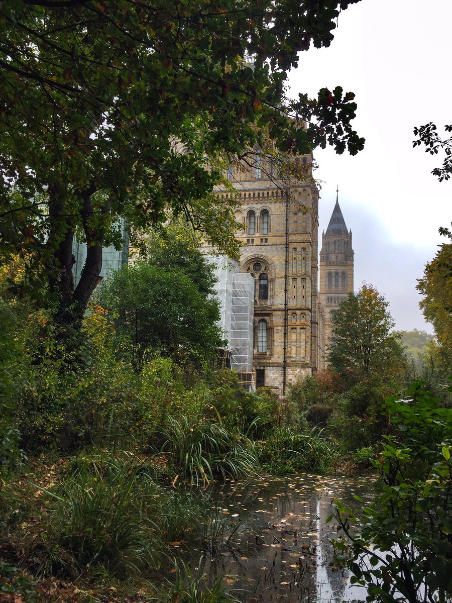 Wireless_Ade's tweet photo. London Overgrown! Natural History Museum. #johnfoxx #karborn https://t.co/MwduhKKhEk