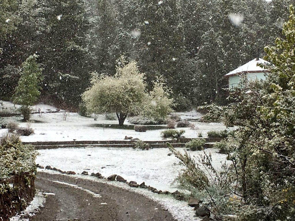 P_Aristizabal's tweet photo. Llegando a Noviembre.... Nevando en #CasaDeTeArrayan @oaristi https://t.co/kymUpZGV73