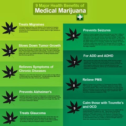 Learn About Weed tweet media