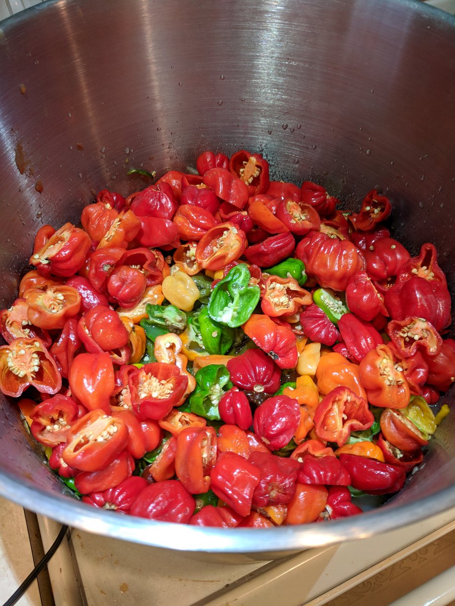 DesertReaperMN's tweet photo. Getting proper spicy with batch no. 4! Fresh jars coming your way by the end of the day. https://t.co/VZLb2l30Xd