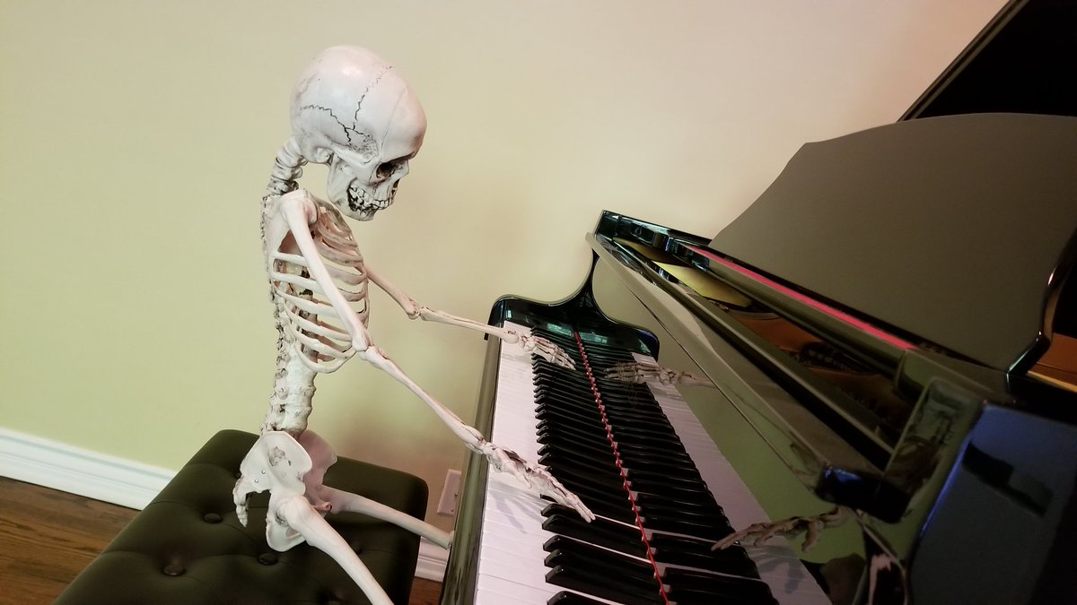 jacksfilms's tweet photo. Nudity warning https://t.co/8dsoDKEPPG