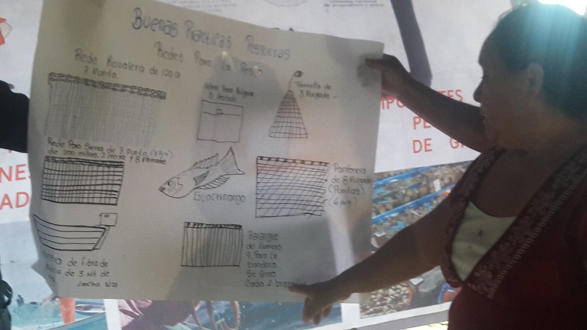 Tomaschan71's tweet photo. Apertura 5o Taller Agua dulce Veracruz.@Conapesca @incarural @propesca_inca @SAGARPA_mx @sicsic_mar @ANABELENHURT @LeticiaInca https://t.co/aFSDLLocOU