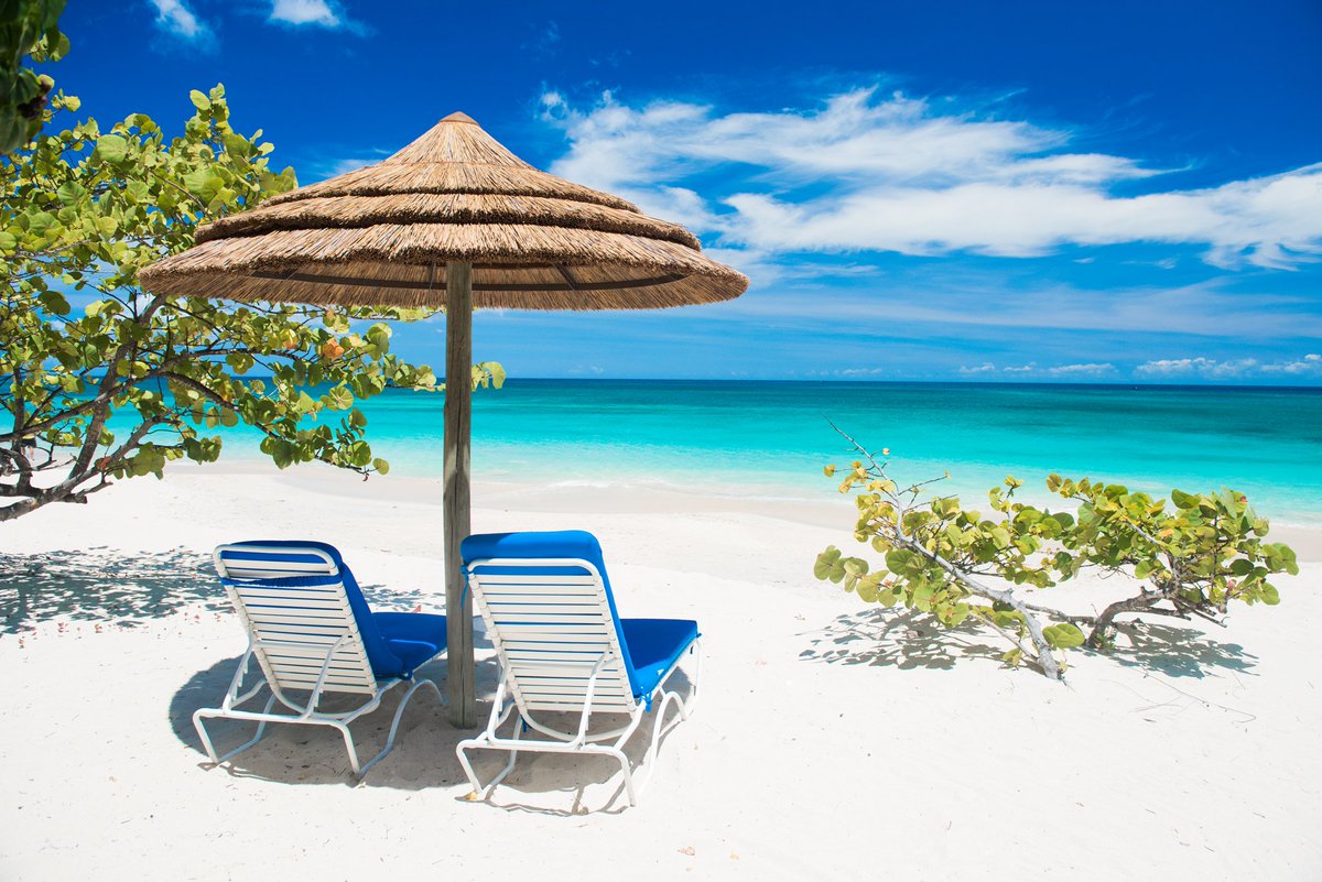 Spice Island Beach Resort tweet media