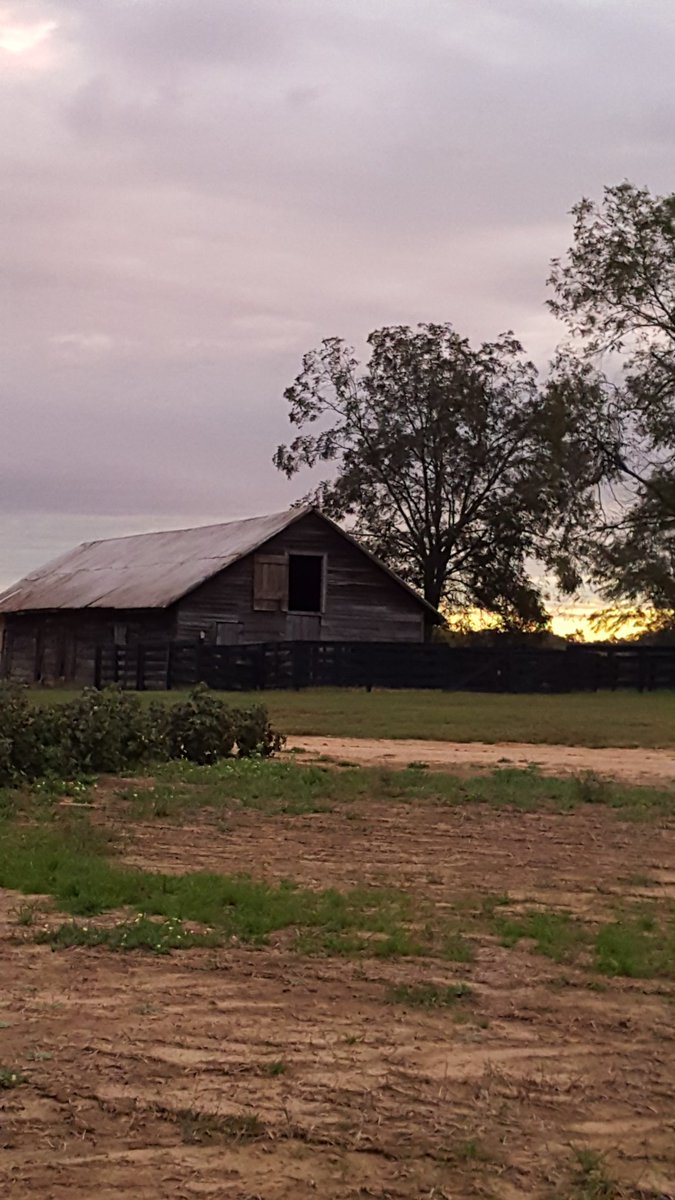 ssmith30517's tweet photo. Beautiful morning for a run.  #GinRun #BostwickGa https://t.co/v7nLdryC4u