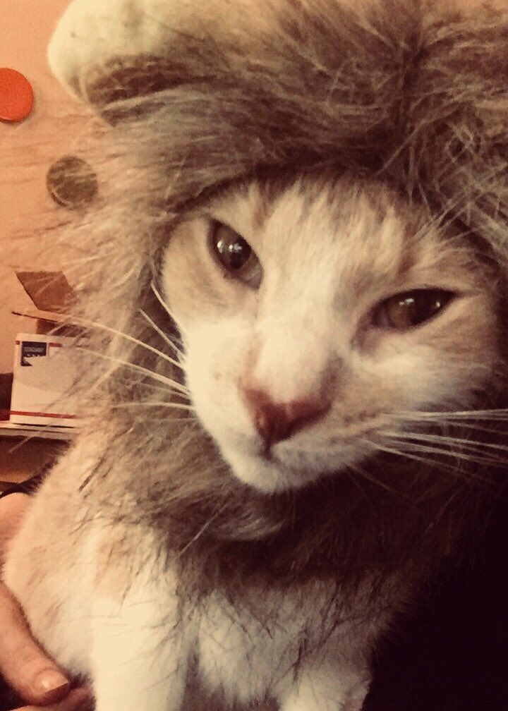 RT for Brooks. Like for Butters.