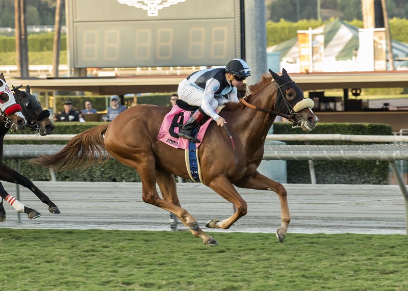 EclipseTBP's tweet photo. Well Developed, out of Miss Thirty Four D, busted a move today, streaking to victory at Santa Anita! Well done to @PaddyGRacing &amp; @DraydenV https://t.co/LKoPfZaRo3