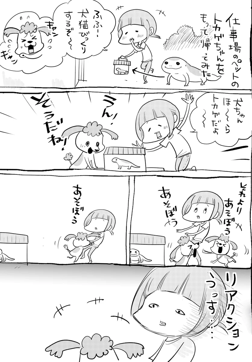 猫と犬両方飼っているからこそ味わえる幸福ｗ