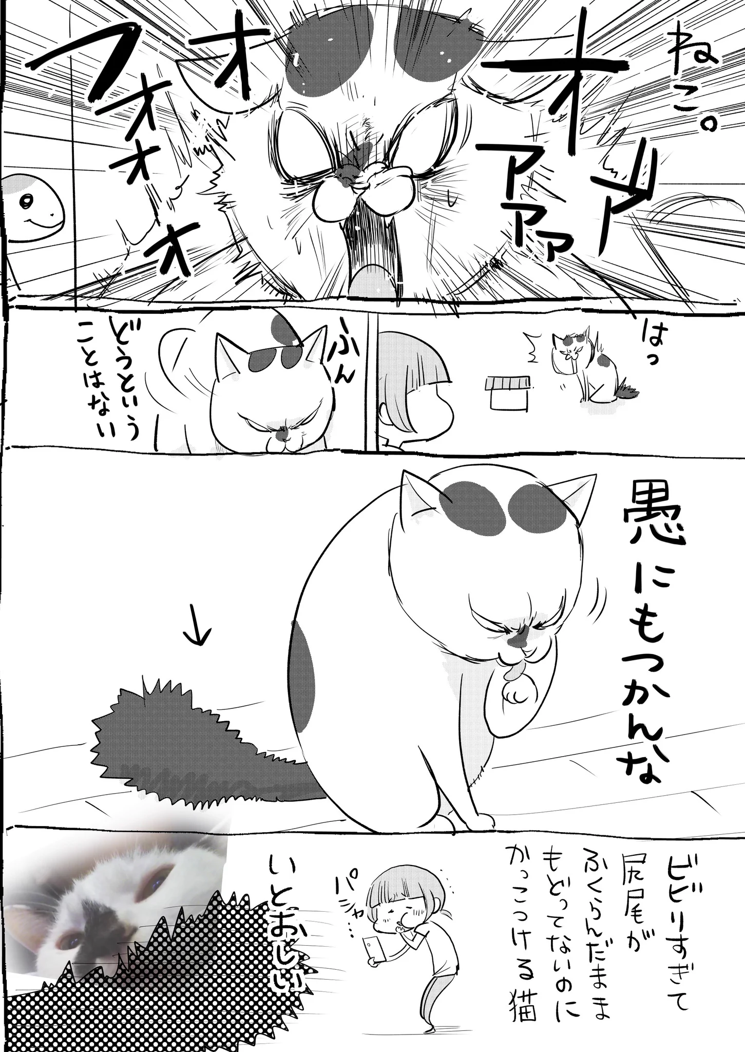 猫と犬両方飼っているからこそ味わえる幸福ｗ