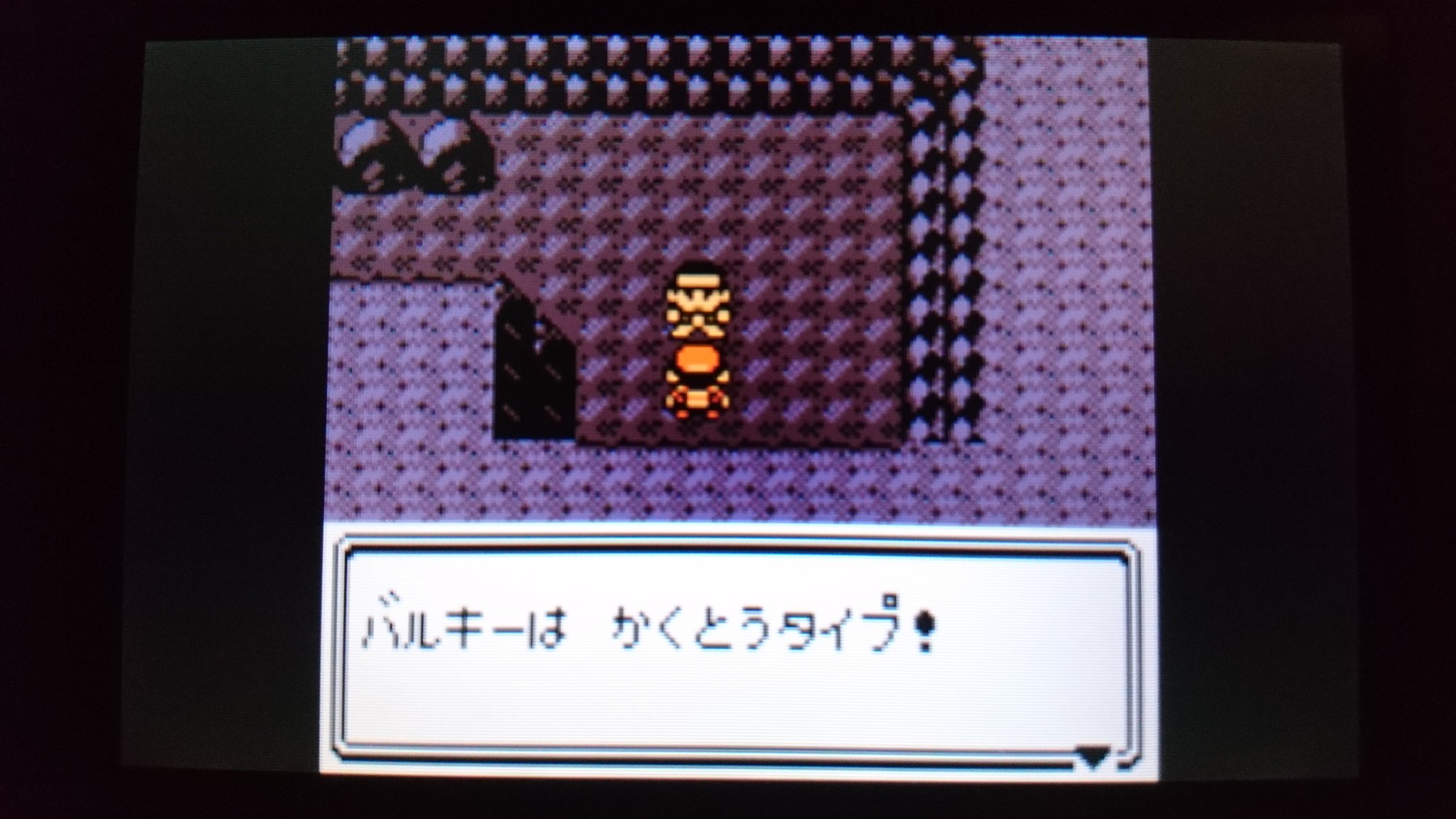 センジ バルキーは かくとうタイプ そだてると つよーい ポケモンに しんか するらしいのだ おぬしも がんばれっ わしも しゅぎょうを つづけるのだ ウオッスッ スリバチやま おおたきのどうくつ カラテだいおう ノブヒコ ポケモン金銀 ボイス