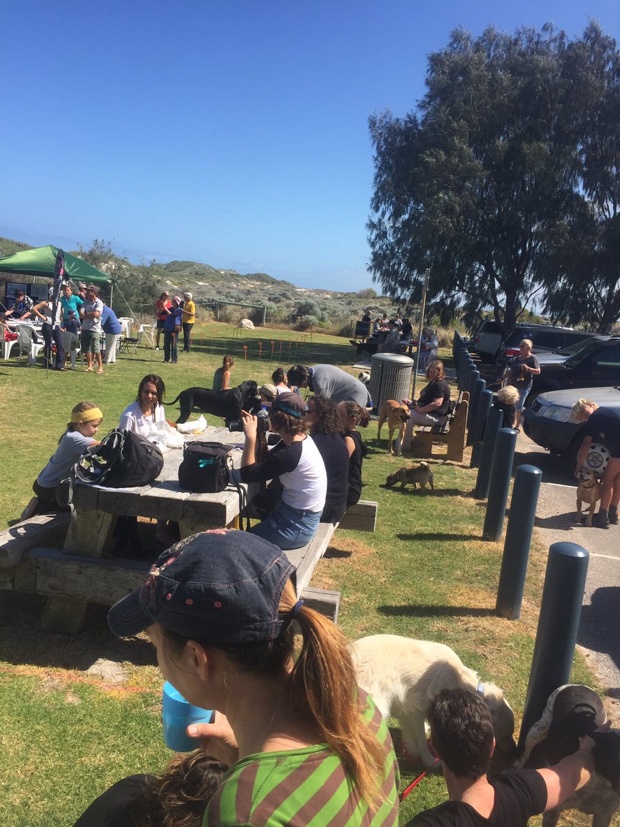 teganknowlesy's tweet photo. Coastal legend @nessmcguiness opening the #Geraldton #DogsBreakfast #birdsonbeaches #dogsonleashes #shorebirds #NationalBirdWeek https://t.co/sSGXnzYDE4