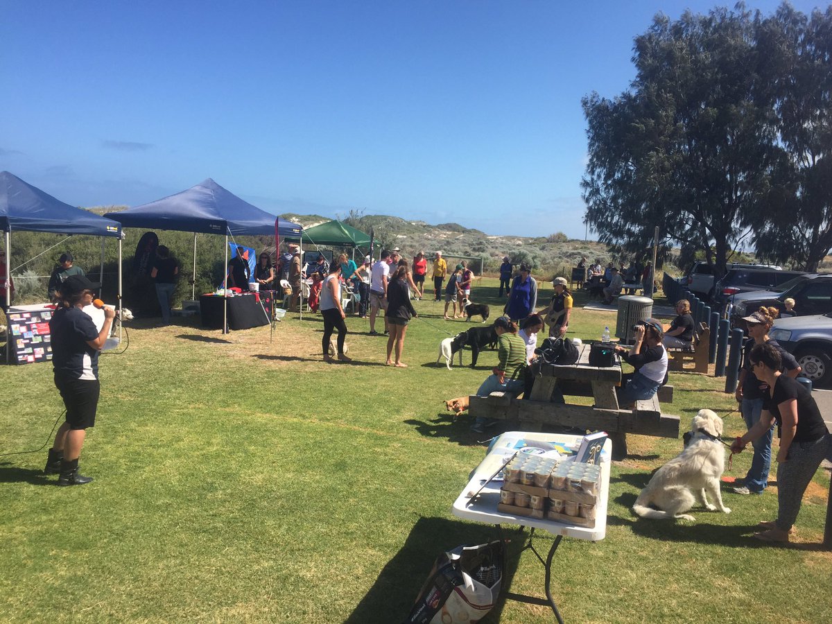 teganknowlesy's tweet photo. Coastal legend @nessmcguiness opening the #Geraldton #DogsBreakfast #birdsonbeaches #dogsonleashes #shorebirds #NationalBirdWeek https://t.co/sSGXnzYDE4