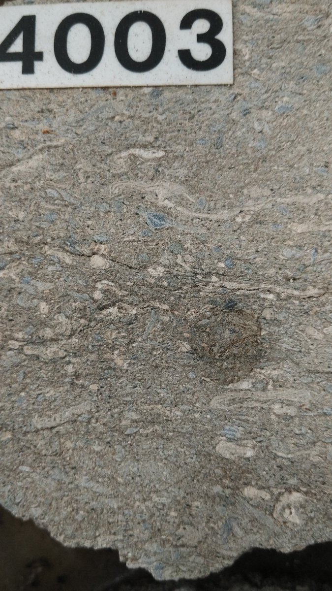 DaengGeo's tweet image. Grainstone, batigamping dengan fosil foram besar dan alga,
#limestone