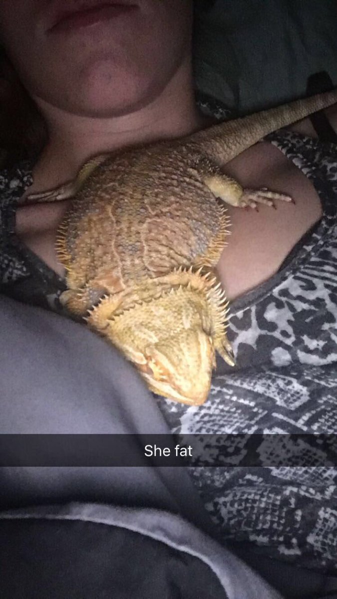 ThatLizardLady's tweet image. My sentient hamburger Nemo. Excuse my double chins pls.