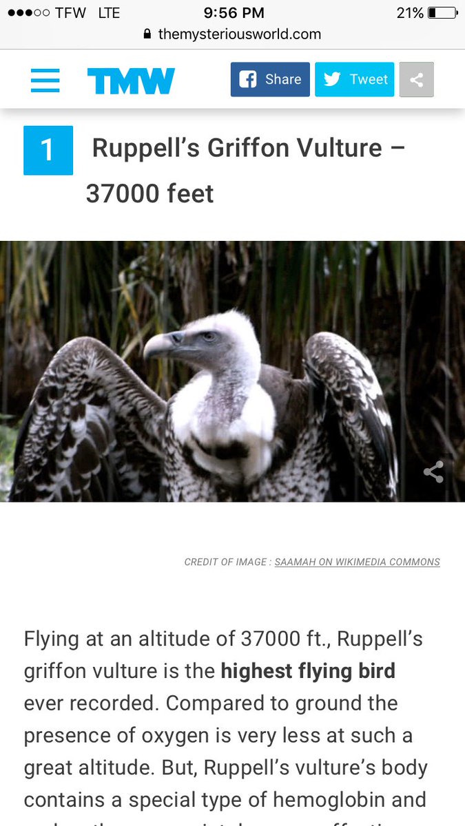 RyanH2397's tweet photo. If a bird hits your plane, it has to be this thing @carmeloanthony @RealStevenAdams @NASA @neiltyson @BillNye https://t.co/U7cR6eesyH