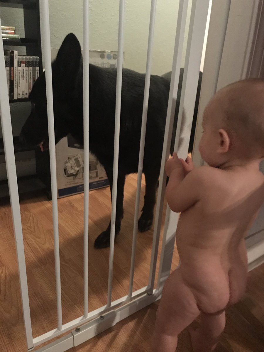 Kristyn_Ryne's tweet photo. Baby on a mission! She did not want to put her diaper and pjs on! #thatbuttthough #shegetitfromhermama π€·π»ββοΈπ https://t.co/SaKZmC60sY