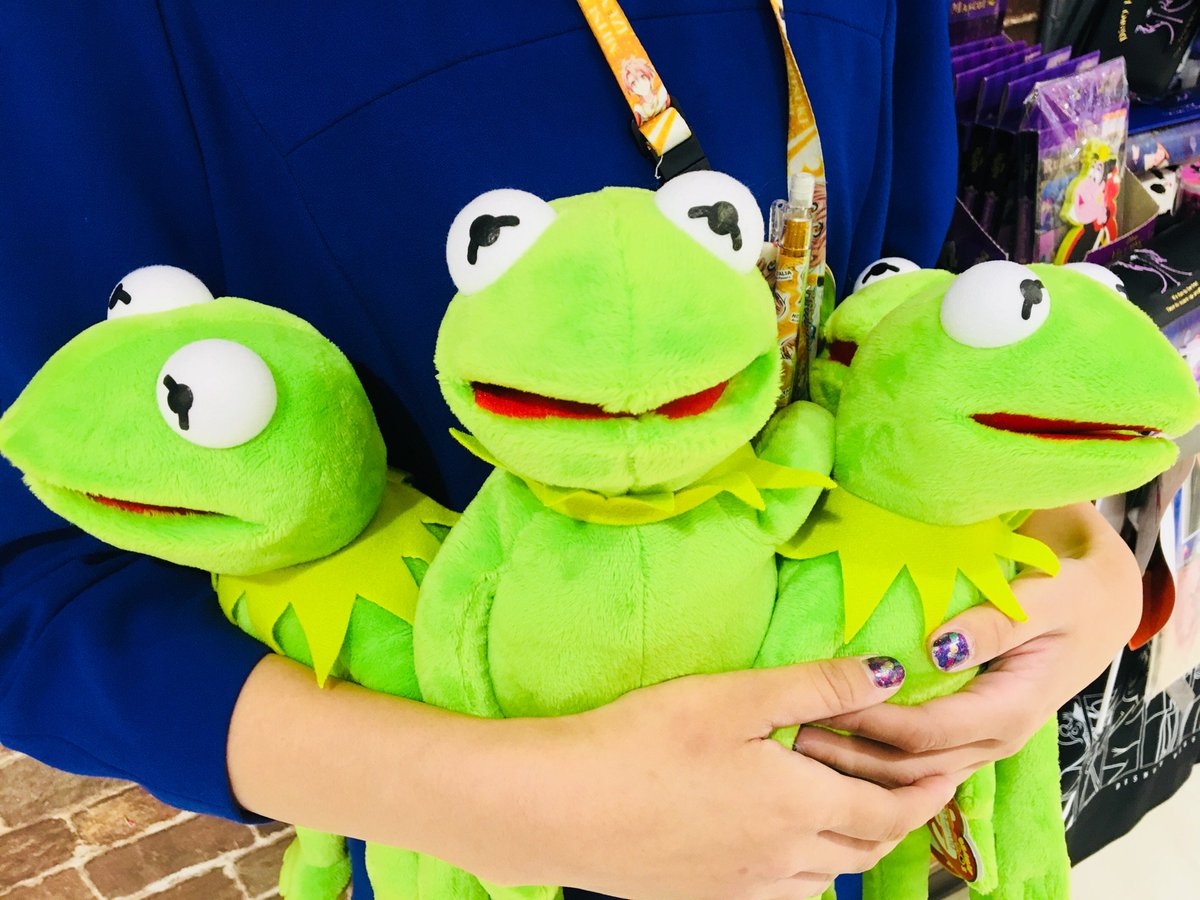 Uzivatel ヴィレッジヴァンガード熊本パルコ店 Na Twitteru カーミット カーミットぬいぐるみ再入荷しました パーカーも大好評 カーミット 熊本パルコ