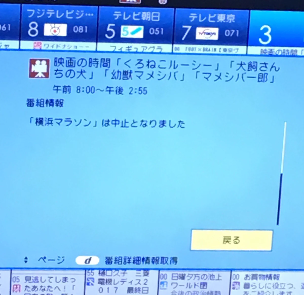 雨のため横浜マラソンが中止！！代替として神奈川テレビでは７時間ぶっ通し犬猫祭りwww