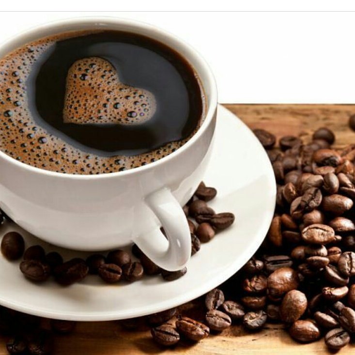NoviPoetiray's tweet photo. Good Morning coffee lover, come and chill out @www.royaltulipspringhillresort.com #springhillresort #royaltulipspringhillresort #coffeelover https://t.co/0mpVYY3r2n