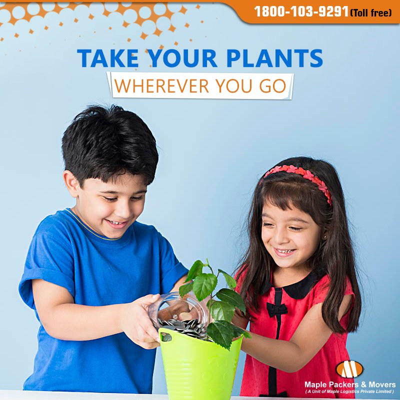 MaplePackers's tweet image. #MaplePackersandMovers are always there to proffer you with their best #PlantRelocation services. bit.ly/2tjT5YG