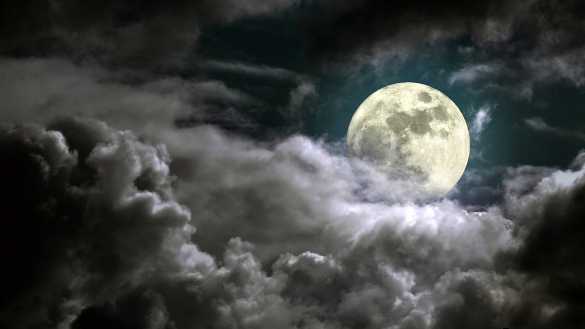 NoGodNoPlace's tweet photo. • Rol eɴ eѕpαñol

• Eхтeɴѕιóɴ vαrιαвle

• Coɴтeɴιdo +18 [Ocαѕιoɴαl]

• MD ѕolo pαrα υѕerѕ

• RT? https://t.co/bIZRkmye6v