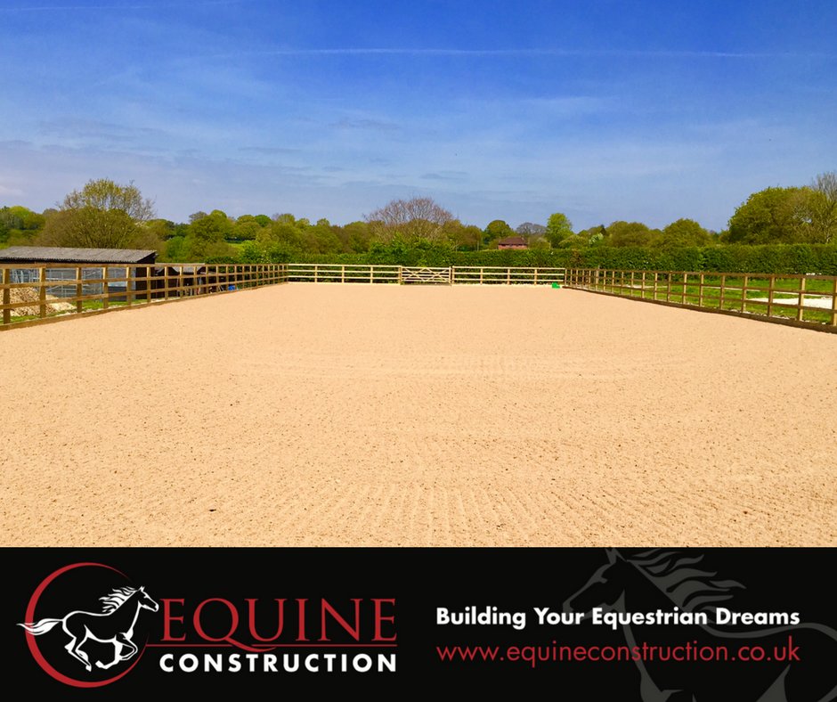 Equine Construction tweet media