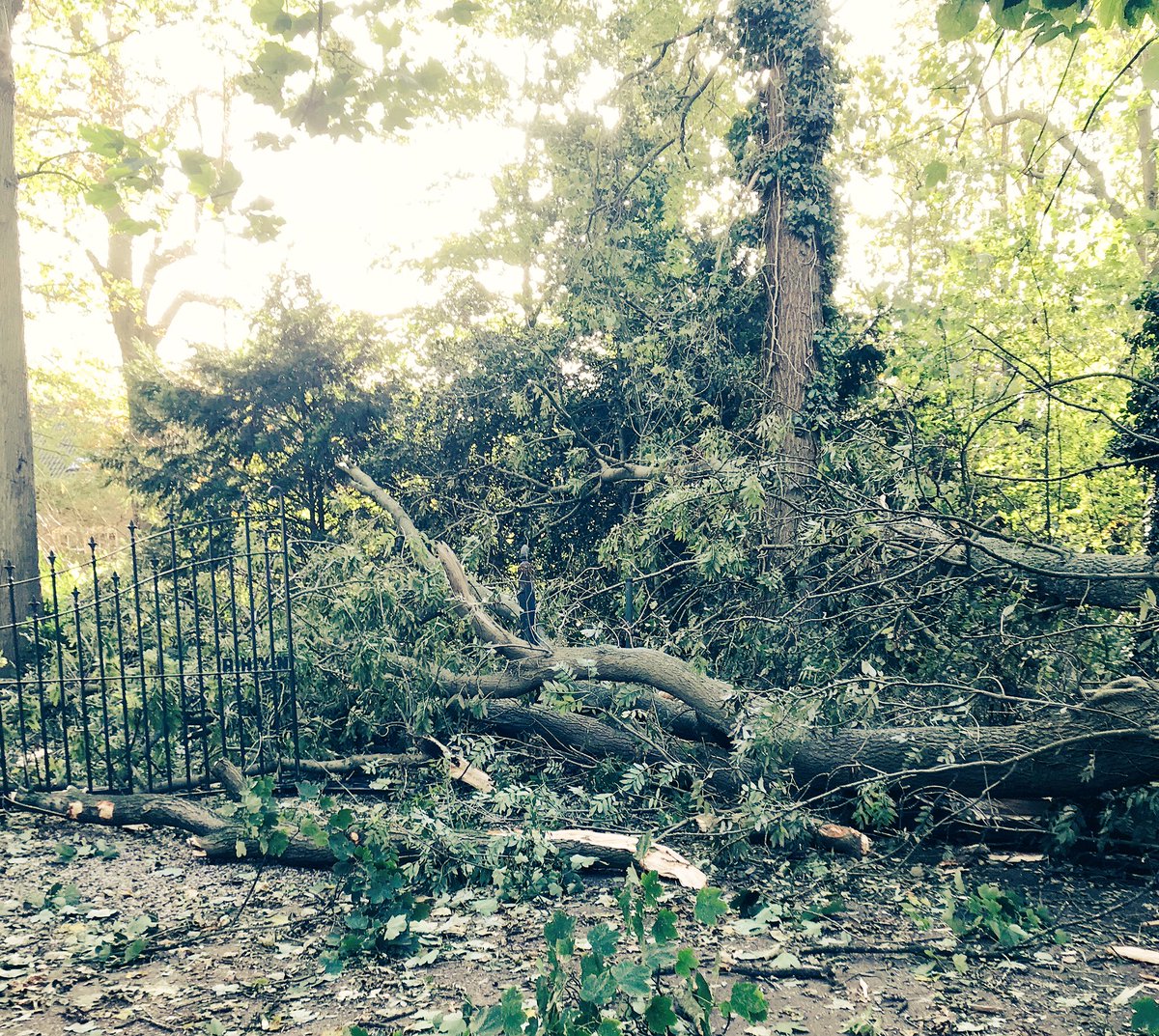 Stormschade Rhijngeest #Oegstgeest