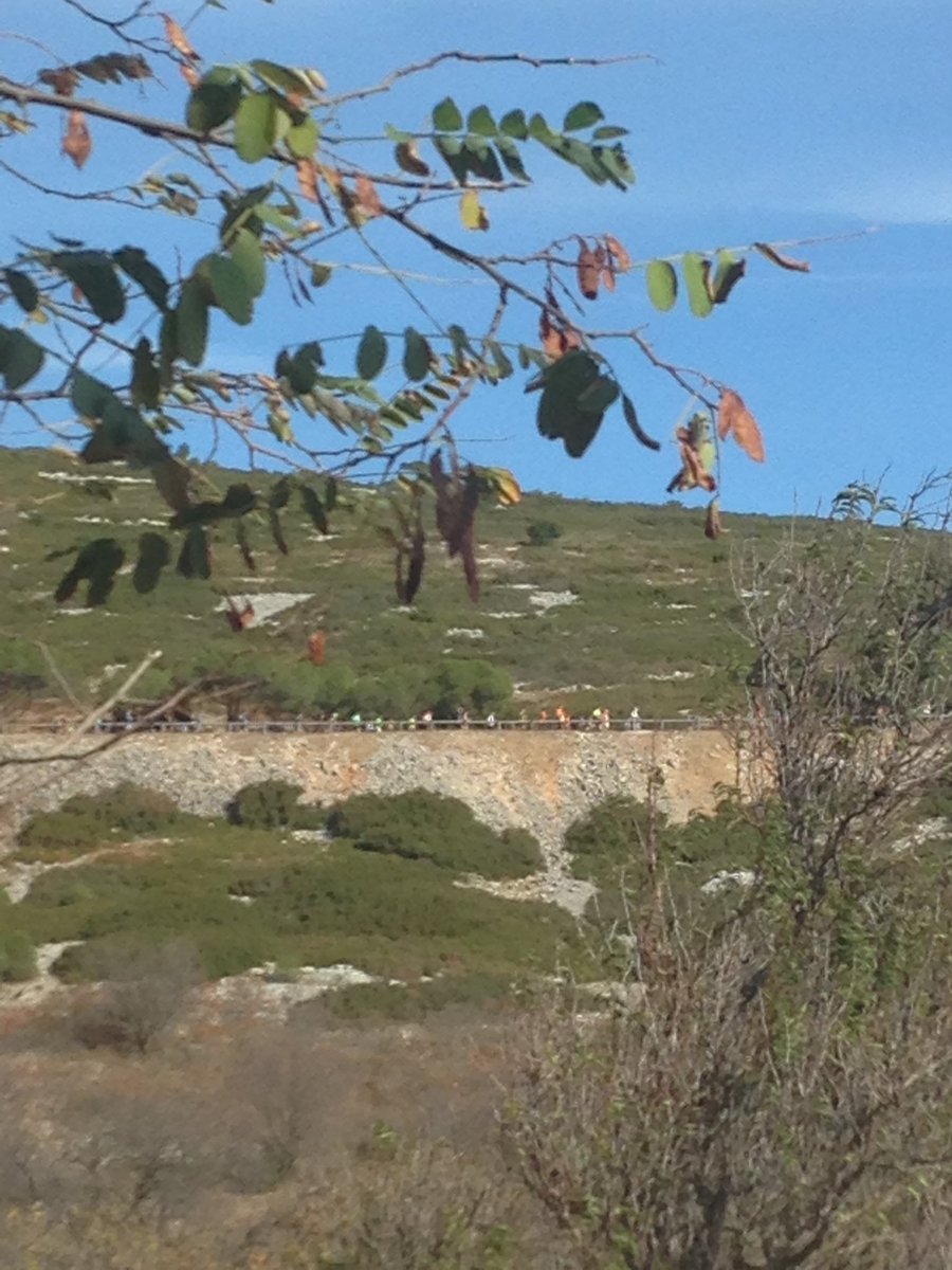 Vue DEPUIS le Logisson #MarseilleCassis