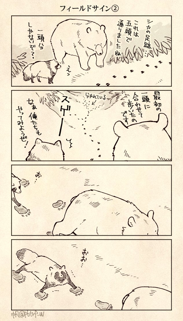 クマとたぬき 