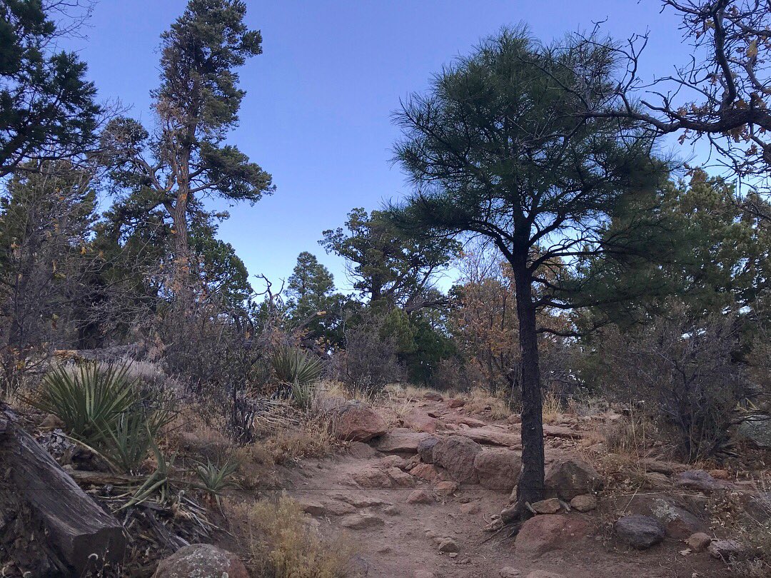 cedarsagelove's tweet photo. Solitude for processing. Round two tomorrow to clear additional head space. #LiveAndLearn #Hiking #Flagstaff #FatMansLoop https://t.co/dj6UbM0y6Q