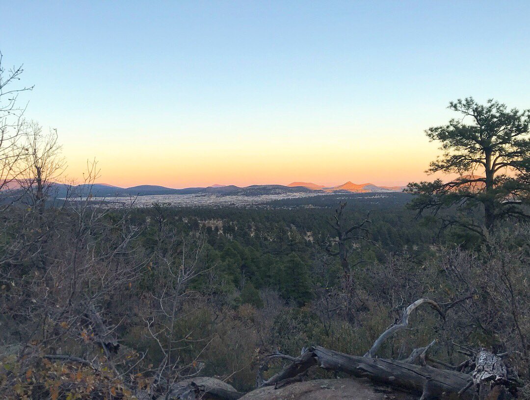 cedarsagelove's tweet photo. Solitude for processing. Round two tomorrow to clear additional head space. #LiveAndLearn #Hiking #Flagstaff #FatMansLoop https://t.co/dj6UbM0y6Q