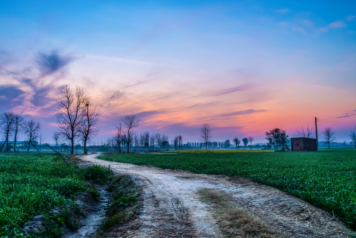 TweetByAMan's tweet image. Sunset in a village in Punjab. 

#sunset #photography #Punjab #India #Amandhanoa #scurve #fields #village #Ludhiana #landscapephotography