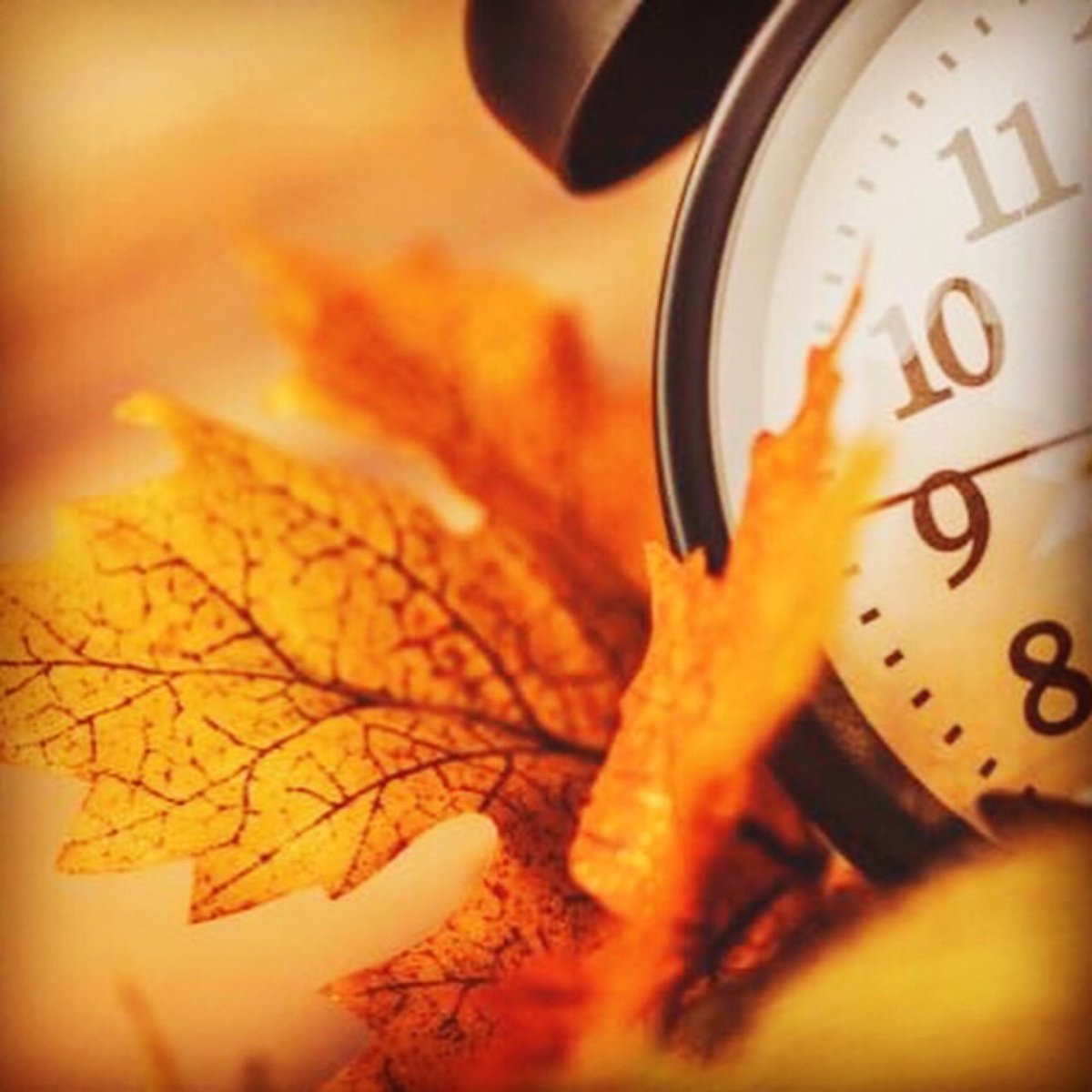 One more hour of sleep Thanks to #falltime. We can all use that right before #JCIWC2017 #WEDO2030 - crowd.cc/s/1fx4U