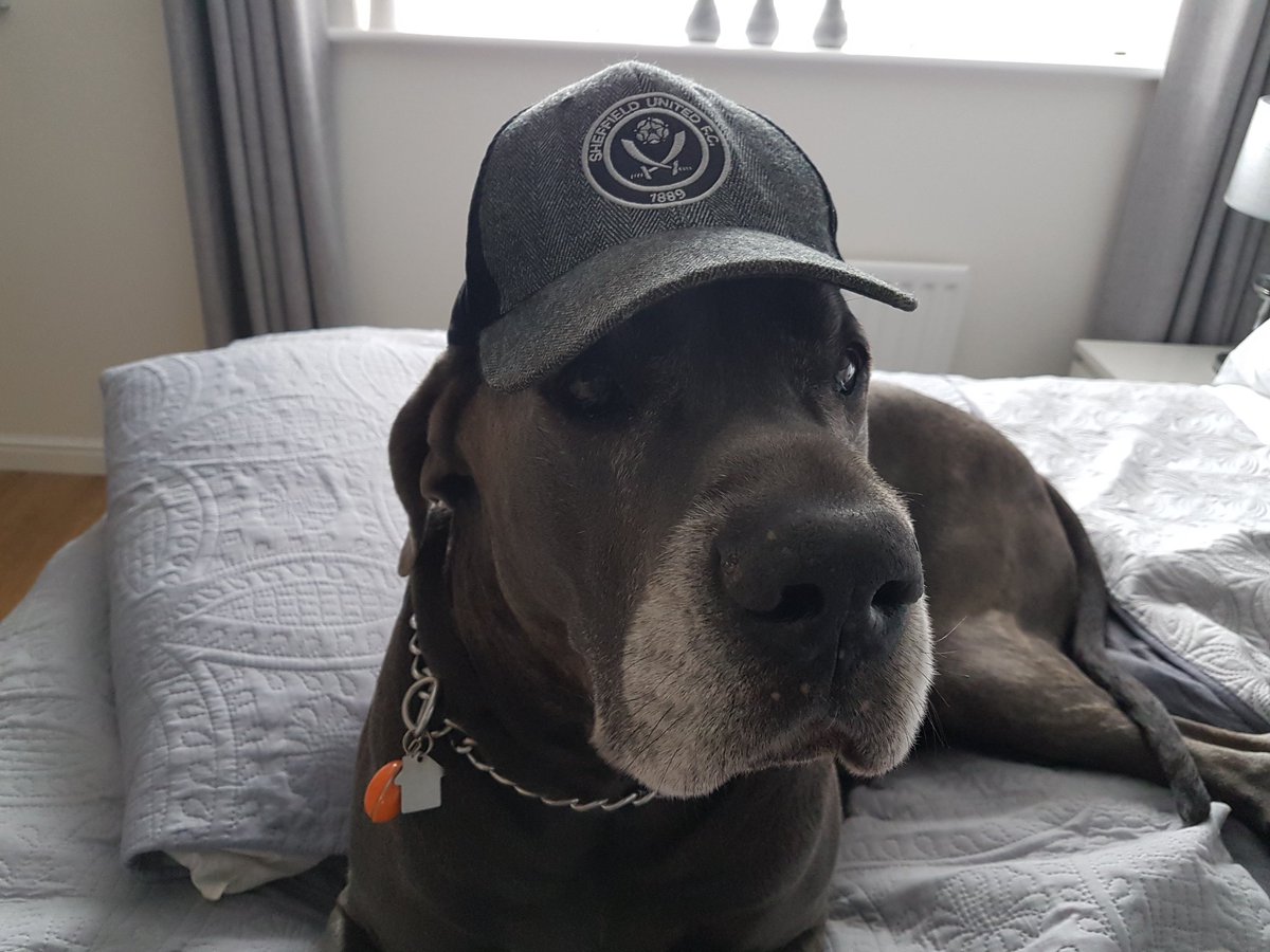 HSdirectSA's tweet image. Spencer is a Blade