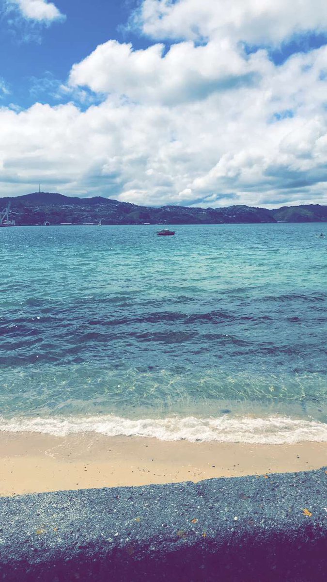 britkiwi13's tweet photo. Spent the weekend in Auckland/at Phoenix stuff/showing Carlβs mum around and now facing the work I have to do tonight π #reportseason https://t.co/OqgIQhEntS