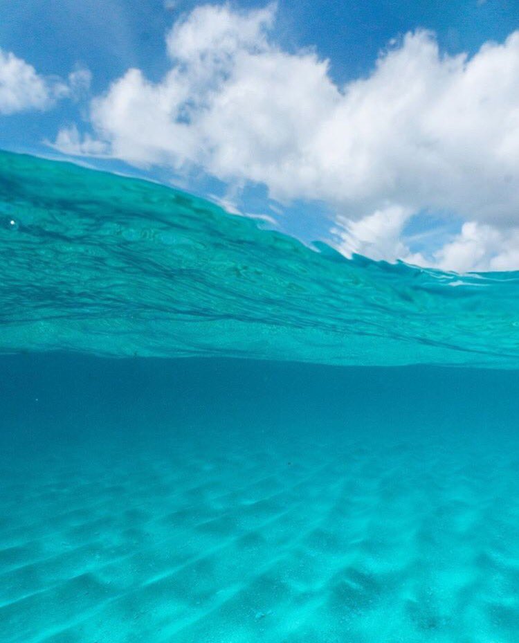 MindWaveDaily's tweet image. ONLY THREE DAYS LEFT TO CLAIM YOUR 30% OFF A MEDITATION SESSION.

"You can't stop the waves but you can learn to surf" #jonkabatzinn