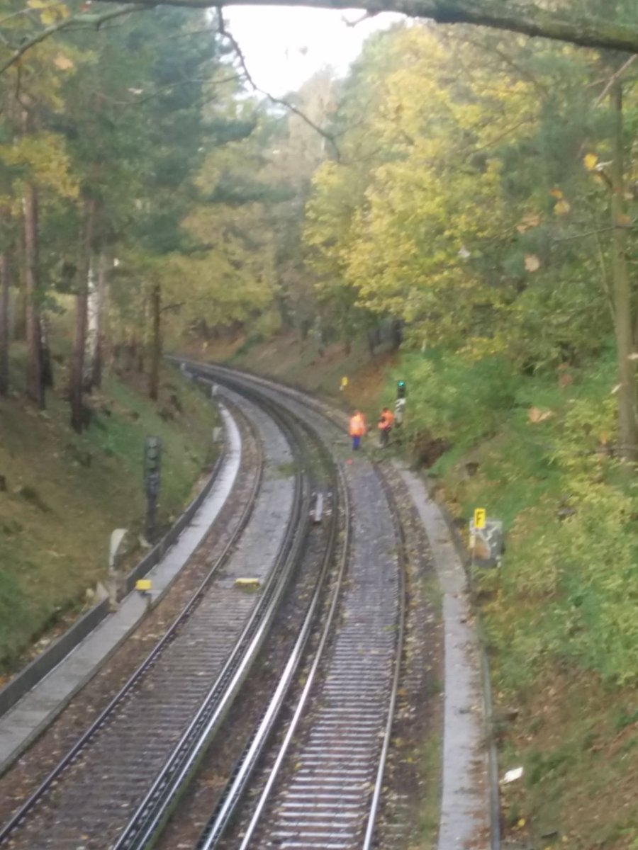 mcathereal's tweet photo. #berlin #bvg #u3 #oskarheleneheim #onkel-toms-huette Richtung Krumme Lanke - Baum auf der Strecke https://t.co/QRJkrM6Wmi
