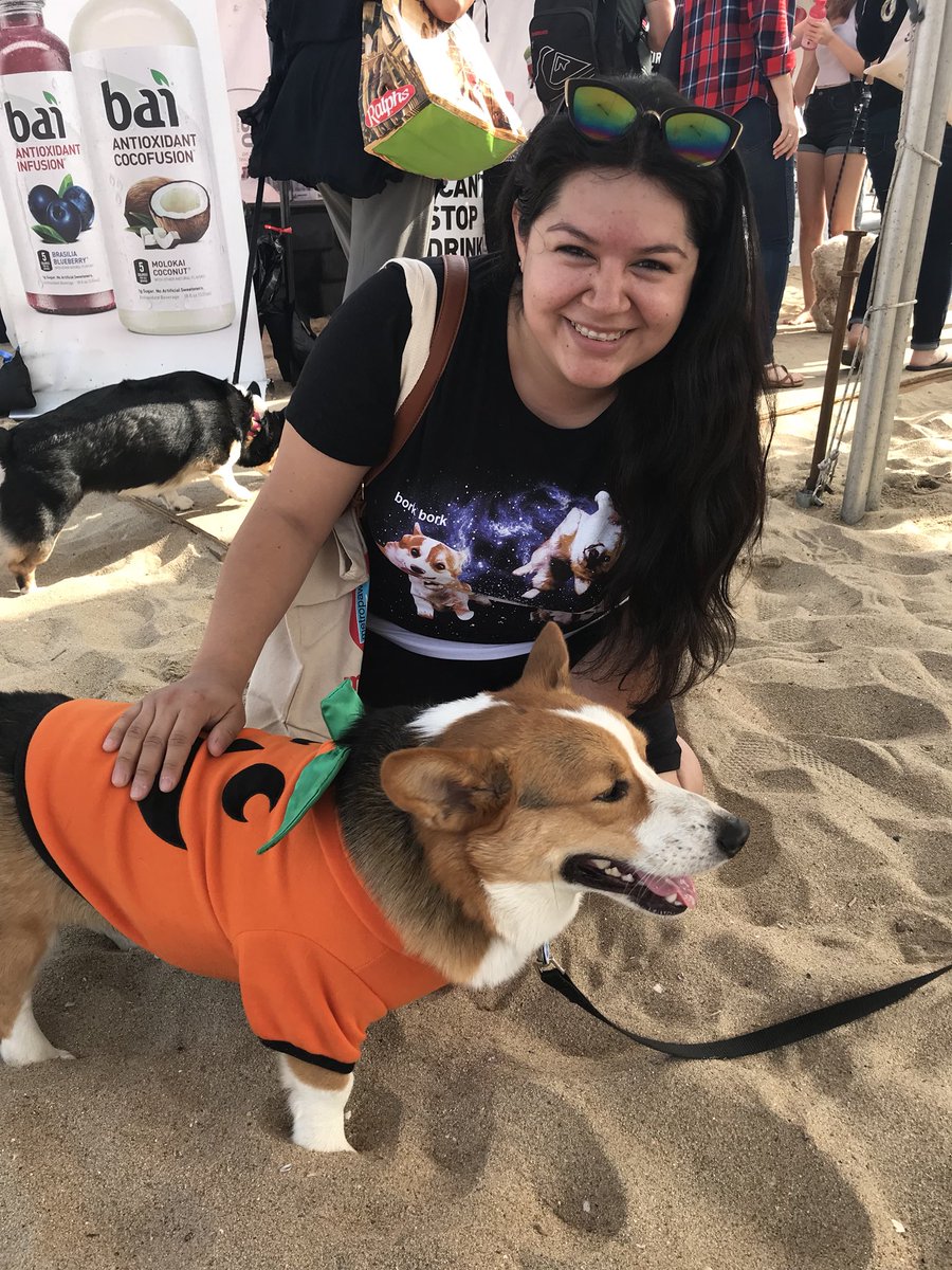 Day made!!! #corgibeachday #corgisarethebest