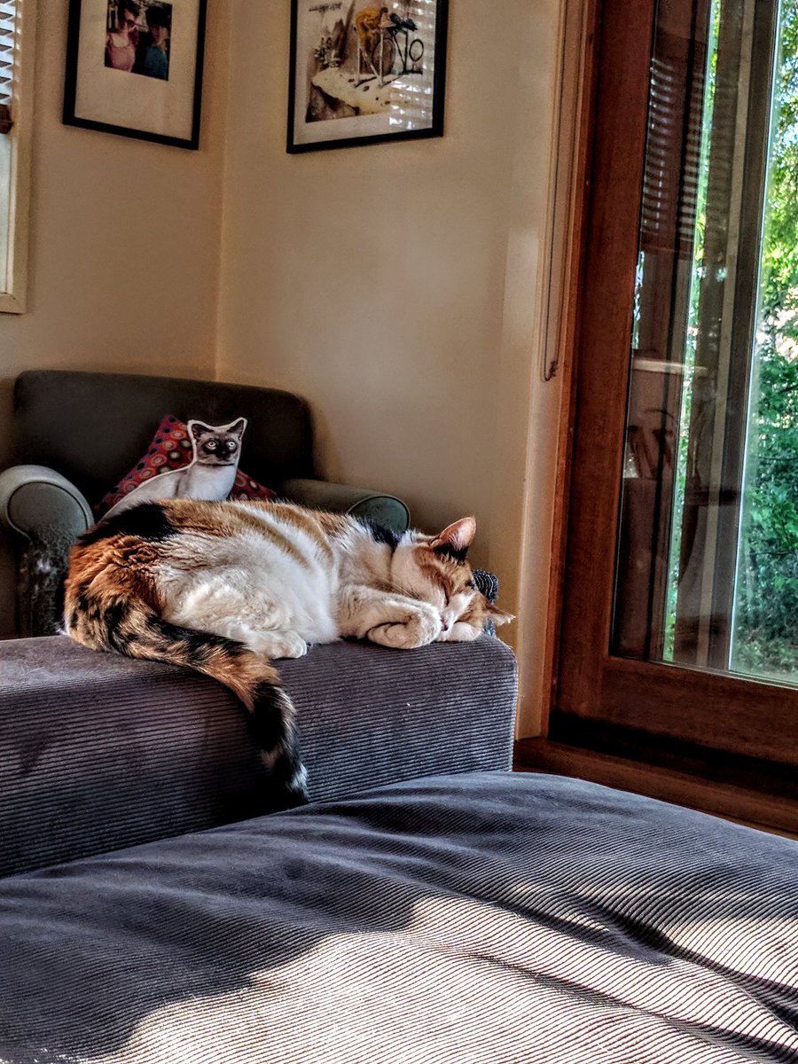 murpharoo's tweet photo. 😴 https://t.co/J9MG4DhBwD