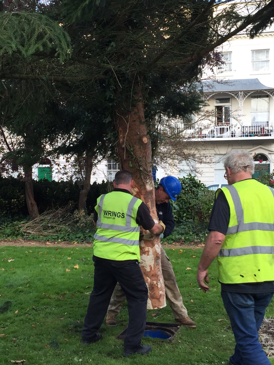 Yippee!  Our Christmas Tree is being installed in The Mall Gardens ready to be decorated next week <a href="/CliftonVillage/">Discover Clifton</a> <a href="/smileymileyuk/">Tony Miles</a> #christmas