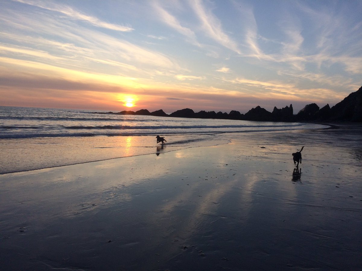 CoolHeatSW's tweet photo. Being the local LG specialist #CoolHeatSW get called to some amazing #Devon Sights. Heating sorted! #Anotherqualityservice #happydogs https://t.co/4LxzBvBryc