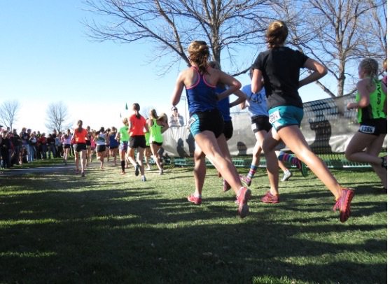 North Shropshire SO tweet media