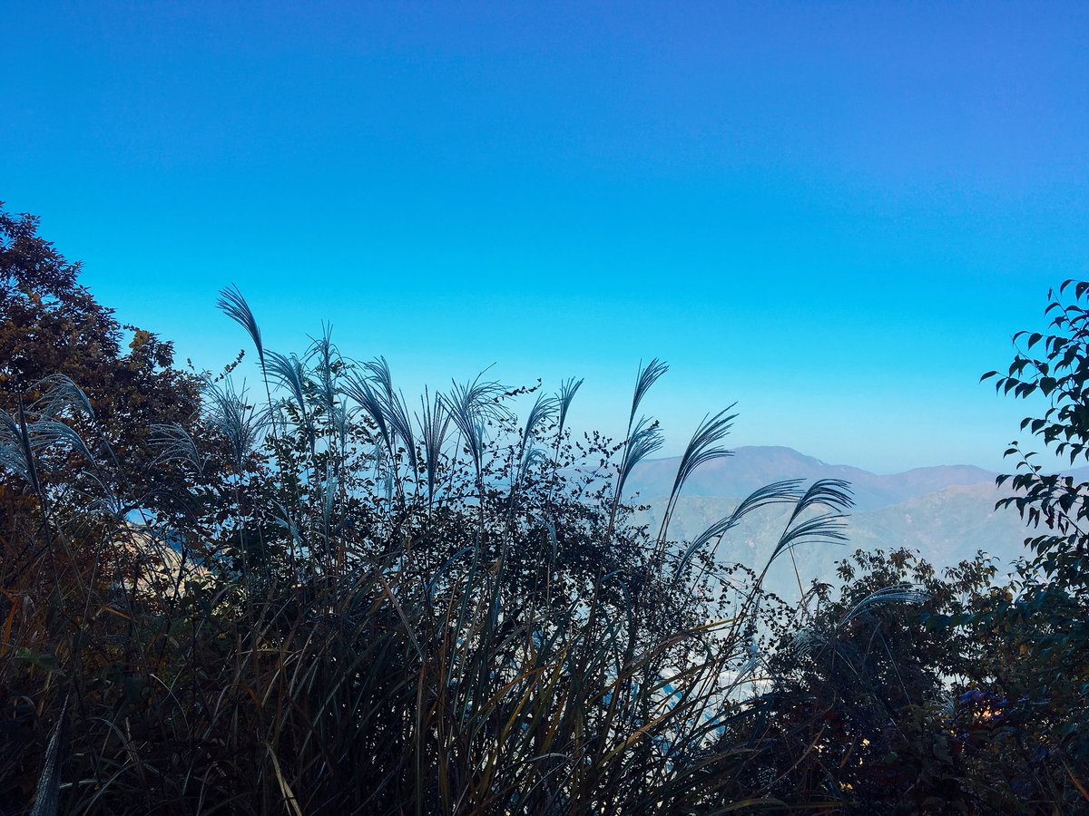anescho's tweet photo. 지리산자락에 단풍이 한창이다.가을단풍도 보고 산사에서 몸도 마음도 풍요로워졌다. 고마운 시간 https://t.co/sF6yj5mCoN