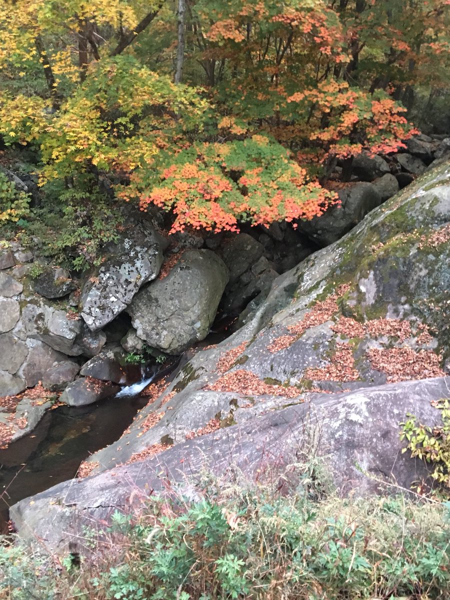 anescho's tweet photo. 지리산자락에 단풍이 한창이다.가을단풍도 보고 산사에서 몸도 마음도 풍요로워졌다. 고마운 시간 https://t.co/sF6yj5mCoN