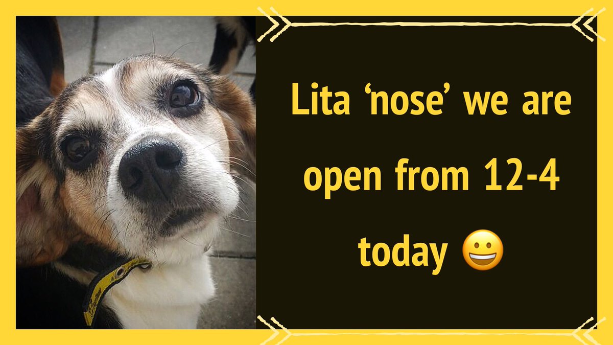 We have so many beautiful dogs looking for their forever families this weekend! Our Rehoming Centre is open today &amp; tomorrow from 12-4 pm 🐾