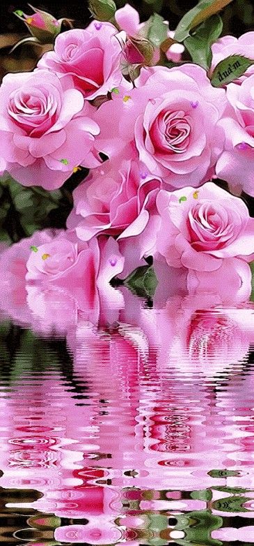 @ Pour Vous mes Ami(e)s 🙋🦋