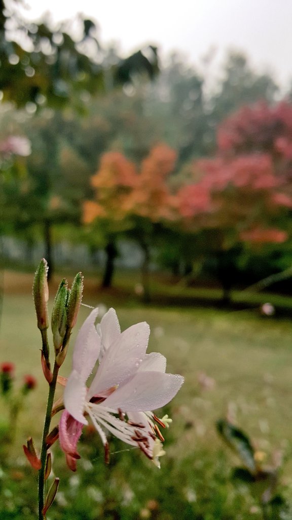 당신이  빛나던  그곳