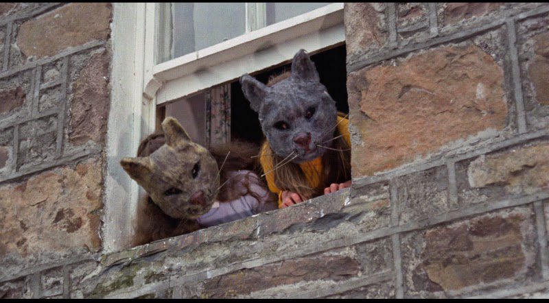 NewPictureHouse's tweet photo. Just a reminder - this eve's screening of the Wicker Man, starts 7.30pm, doors 6.45pm. Curry is roast veg dhal -vegan. Hope 2 see U there! https://t.co/aXvzQORf4S
