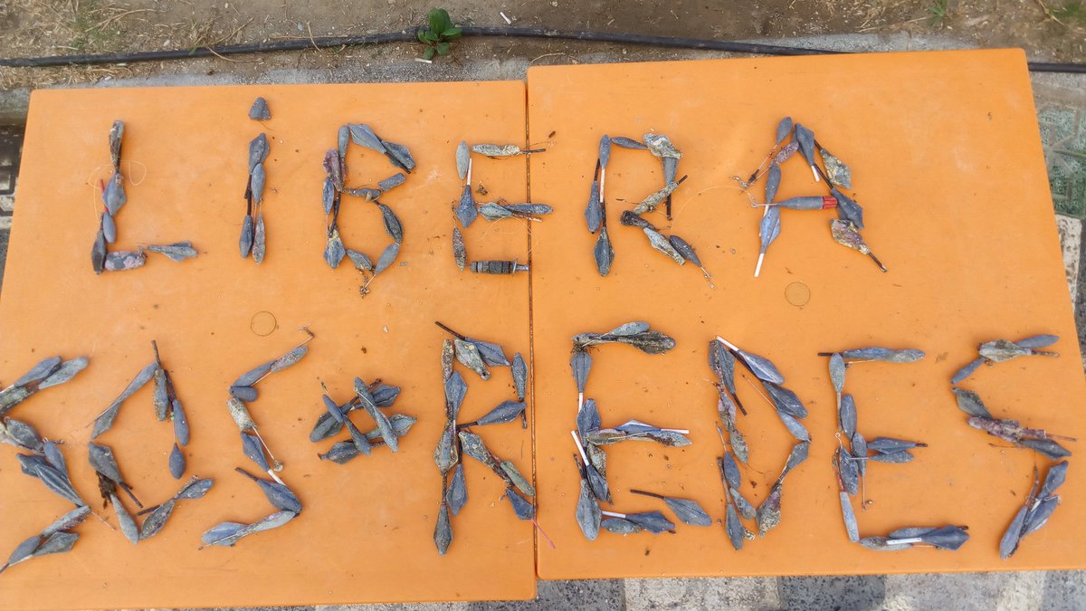 asociacionhyt's tweet photo. 22 kg de plomos extraídos con #ProyectoLibera #HéroesLibera @ecoembes @SEO_BirdLife . #buceo #conservación y #basurasmarinas #sosredes https://t.co/z8j5ZCpWow