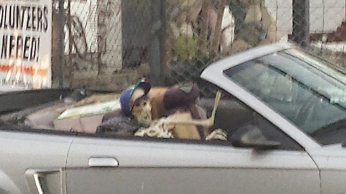 Twiddlemusic's tweet photo. Random things you see on the road https://t.co/O4Aj05gpCc