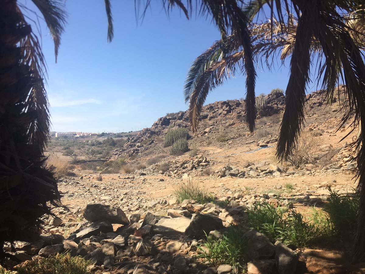 Vamos_Canarias's tweet photo. El #Veril te necesita porque el sur también eres tú : defendamos un oasis con patrimonio arqueológico de fauces empresariales #VerilEstaVivo https://t.co/2jewaj8Htn